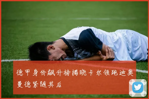 德甲身价飙升榜揭晓卡尔领跑迪奥曼德紧随其后